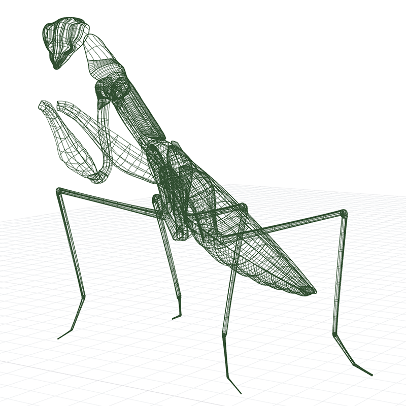 3D wireframe of Praying Mantis