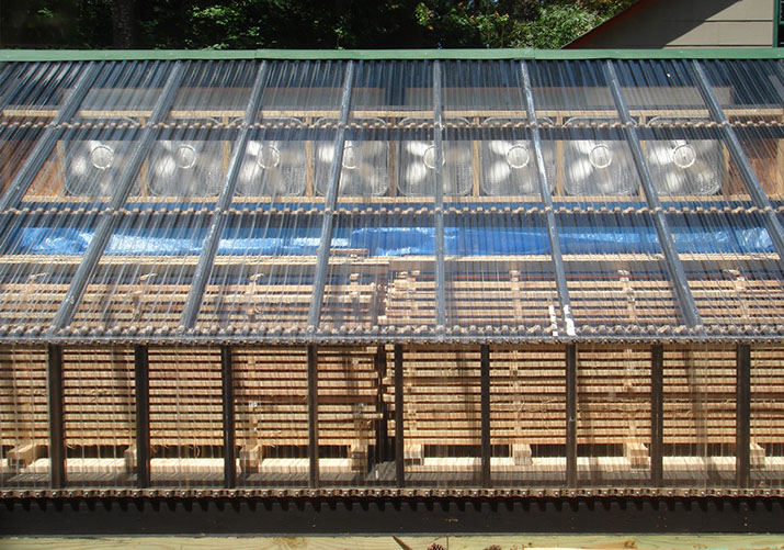 Solar panels showing air circulating through kiln, sun drying heart pine to proper moisture content.